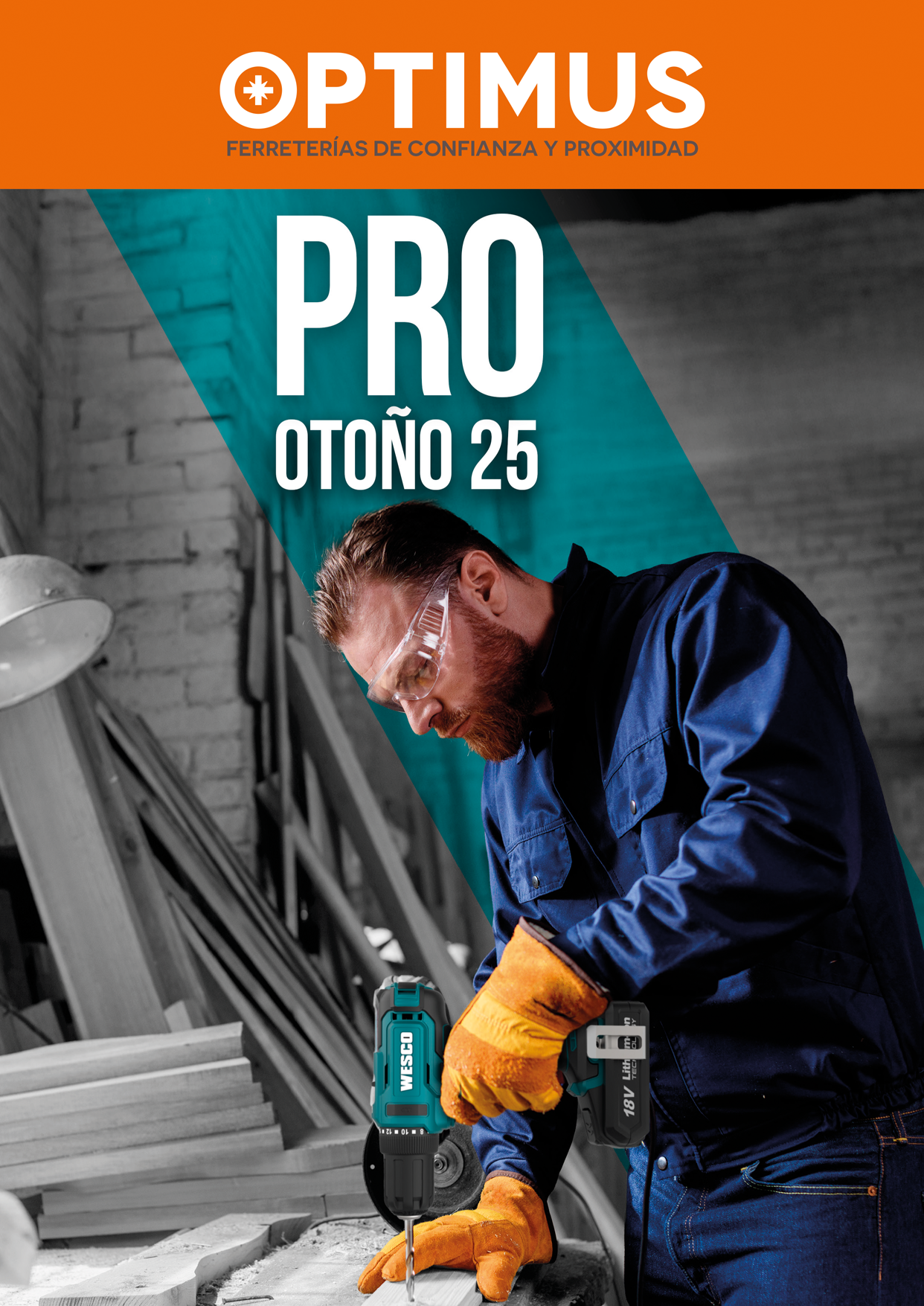 FOLLETO PROFESIONAL II 2025